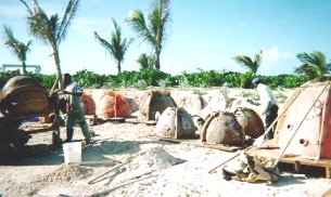 Barbados Marine Trust